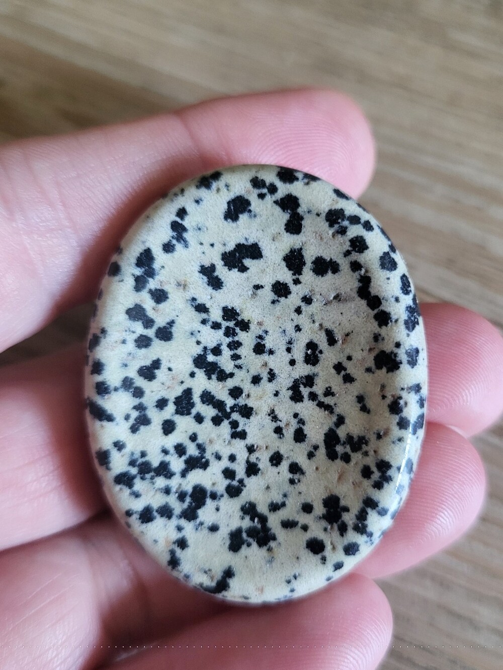 Dalmatian Jasper Palm Stone